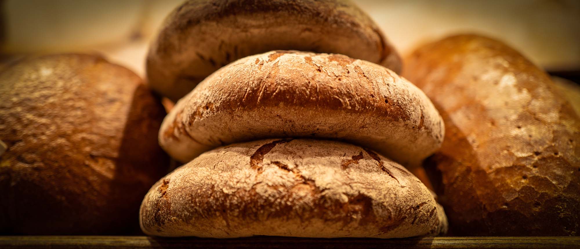 Frisch gebackene, goldbraune Brote und Brötchen – das Ergebnis echter Backkunst