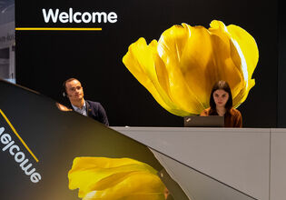 Zurück auf der südback! Das sind die Neuheiten