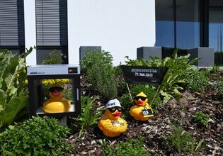 Une course de canards pour la bonne cause