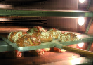 Bread Day