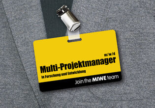 Multiprojektmanager (m/w/d) F&amp;E