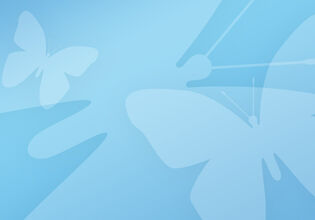 Assistenz der Teamleitungen (m/w/d) MIWE service