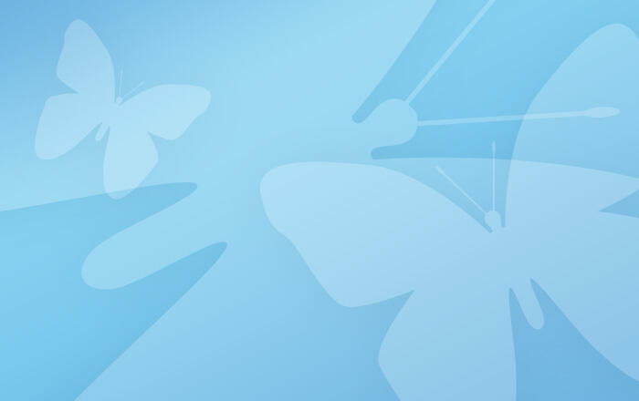 Assistenz der Teamleitungen (m/w/d) MIWE service